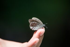 九州で歴史を感じる宿のおすすめは？