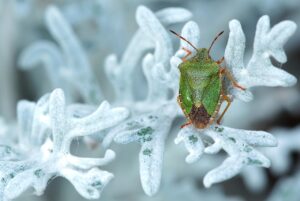 九州旅行で楽しむ2泊3日のおすすめプランは？