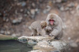 九州観光で楽しむコースにおすすめの温泉と神社は？