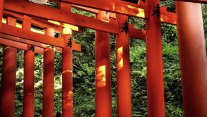 祐徳稲荷神社周辺の宿泊施設でおすすめはどこ？