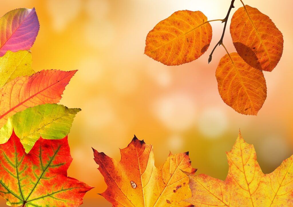 九州のパワースポットで楽しむ紅葉の絶景はどこ？