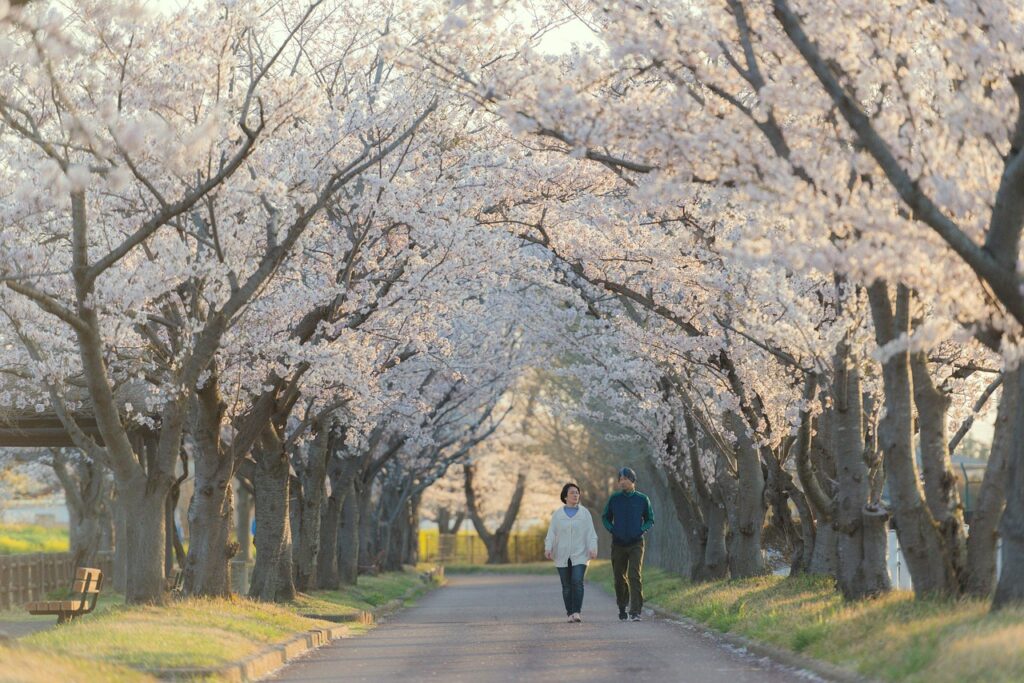 大分の霊場で楽しむ桜の絶景スポットは？