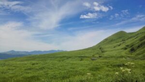 福岡で子連れにおすすめのホテルはどこですか？