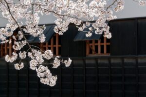 熊本城の夜間ライトアップはどのように楽しむべき？